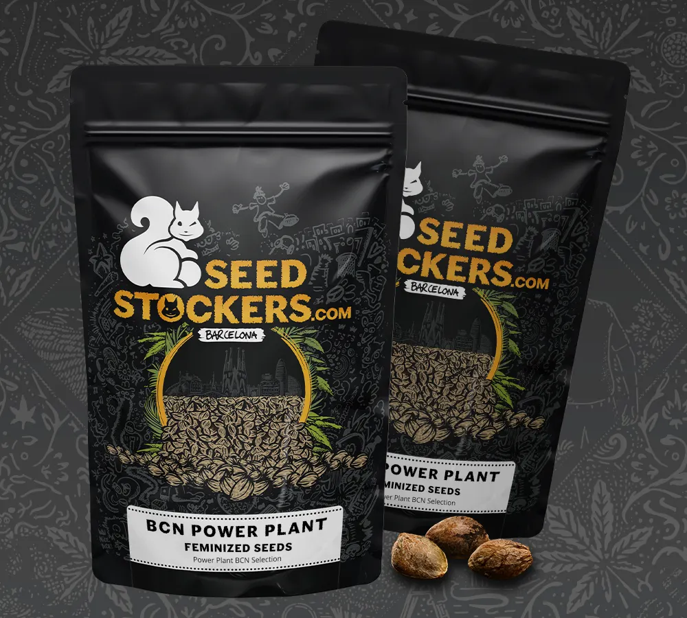 BCN Power Plant Feminized Collectible Seeds
