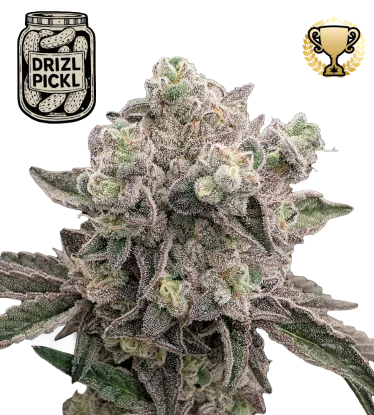 Drizl Pickl© Collectible Feminized Seeds