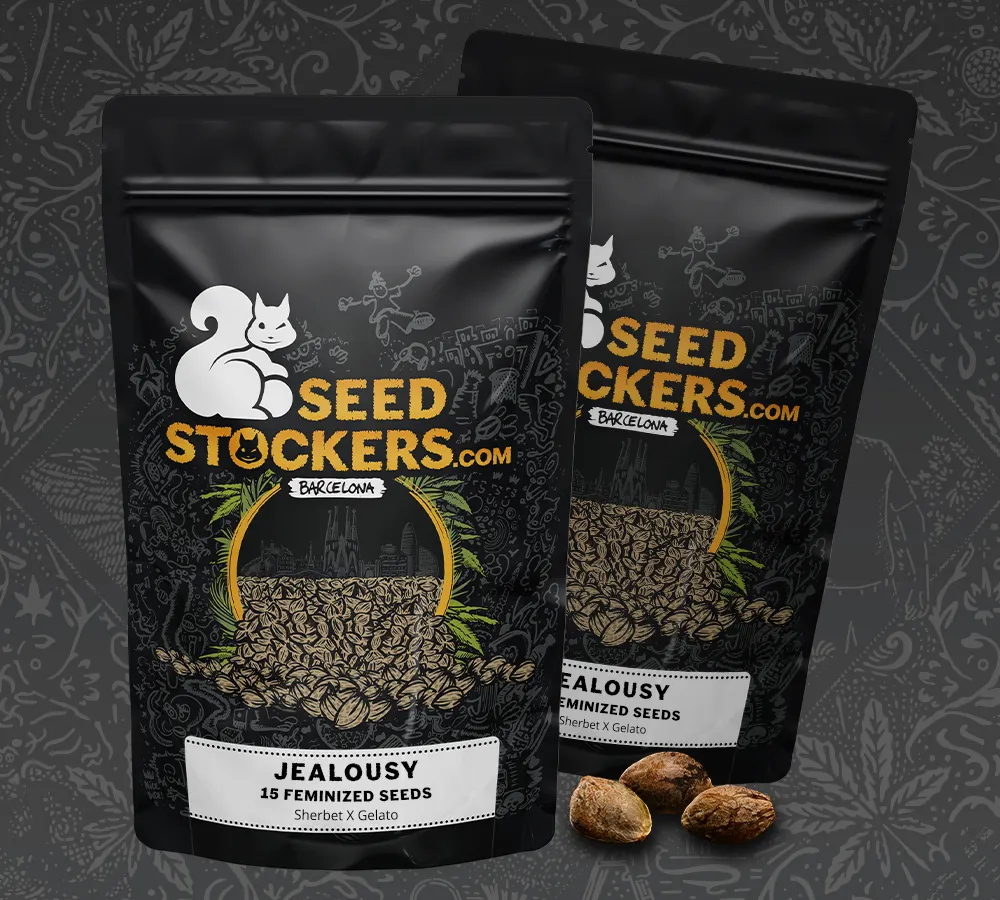 Jealousy Autoflower Collectible Seeds