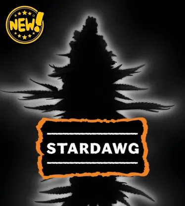 Stardawg Feminized Collectible Seeds